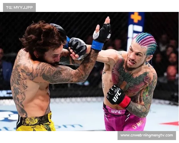 宋亚东：面对奥马利是升维与转正的机会，已做好全面准备